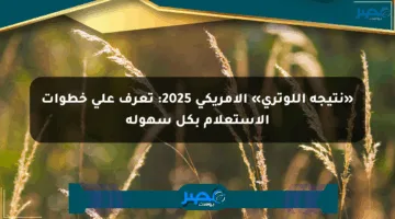 «نتيجة اللوتري» الأمريكي 2025: تعرف على خطوات الاستعلام بكل سهولة